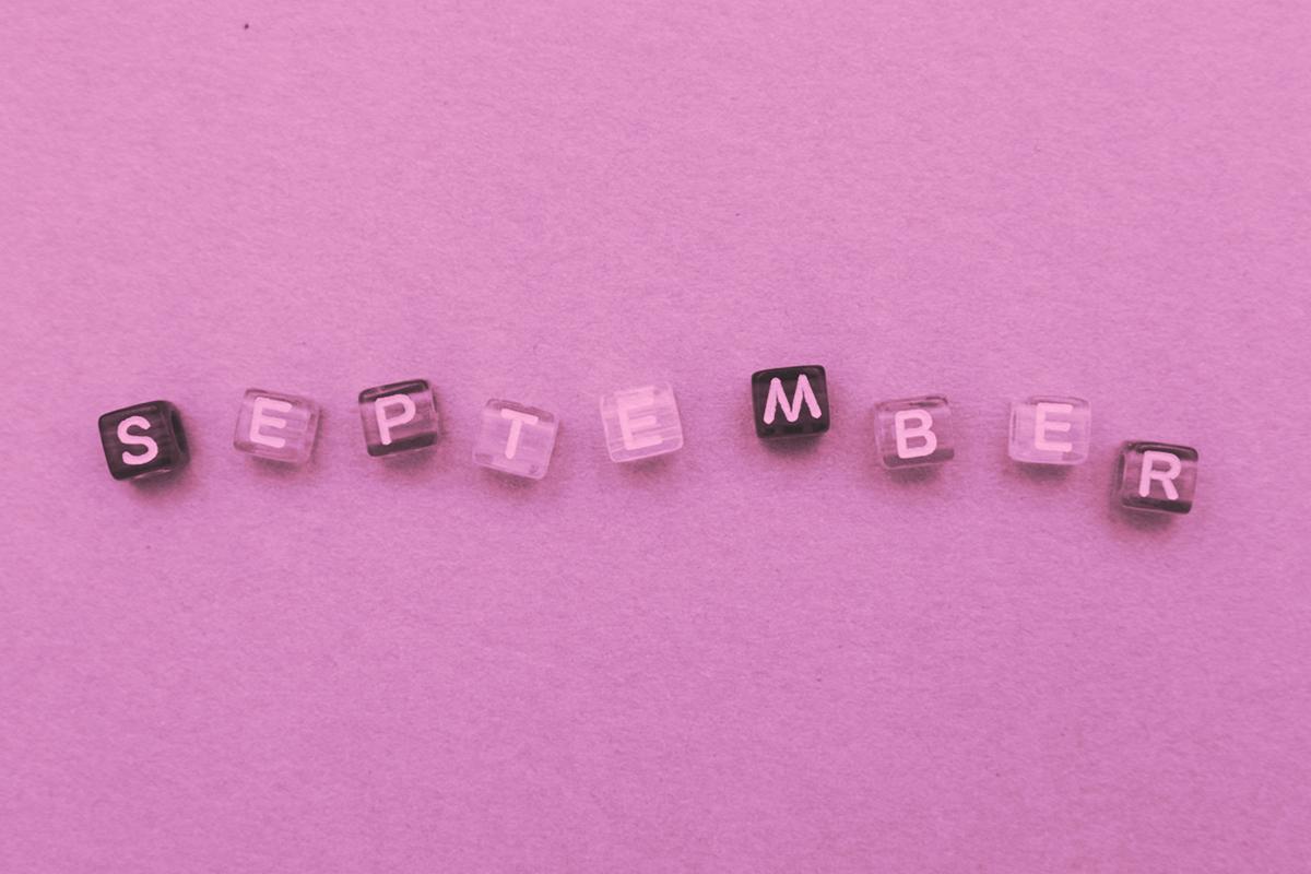 September made by small plastic cubes