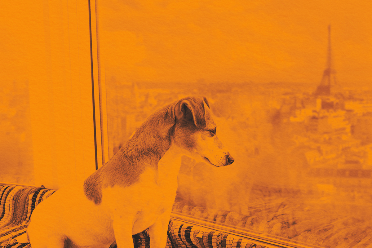 What Exactly Is a Preposition?