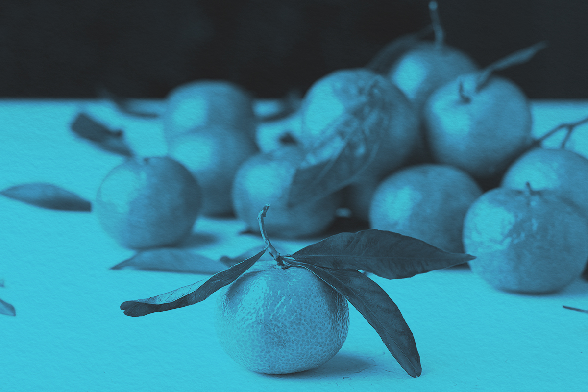 Group of oranges on a table