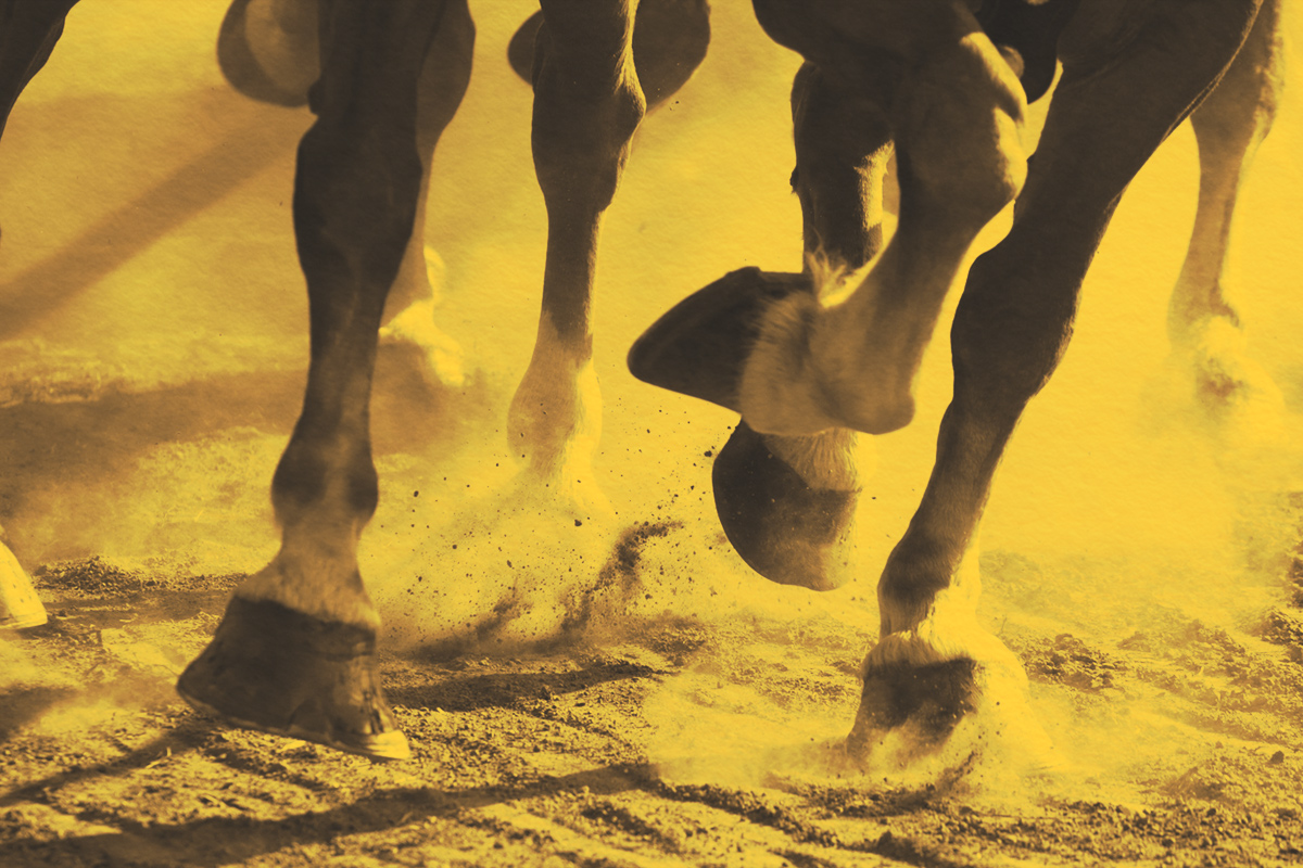 Close-up of galloping horses hooves