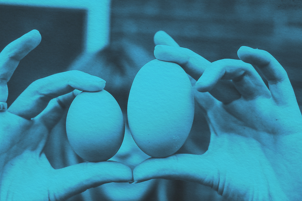 Comparison of a big egg and a small egg