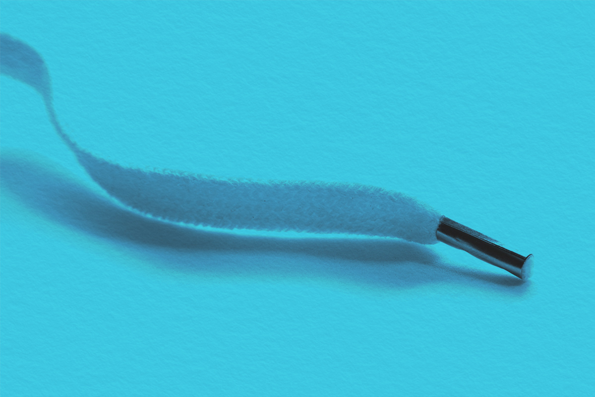 The metal anglet at the end of a shoelace