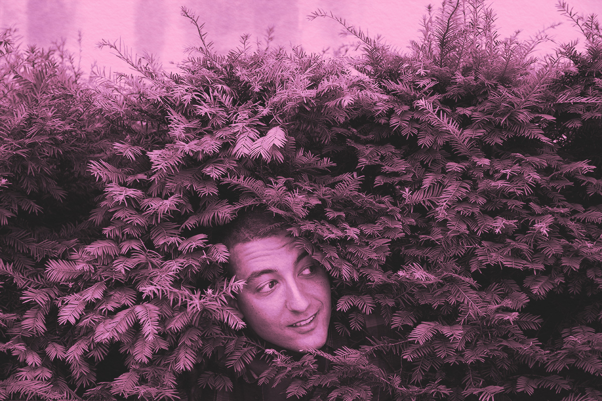 Man peering out from bush