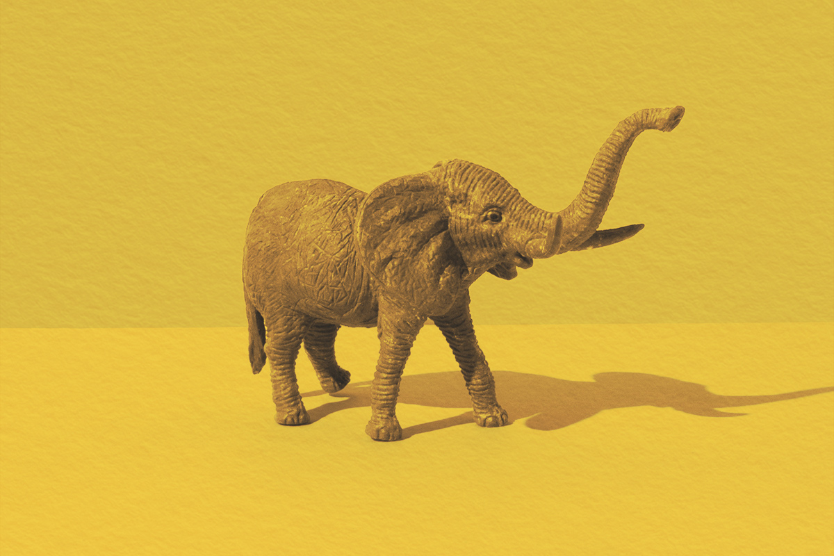 Isolated elephant toy