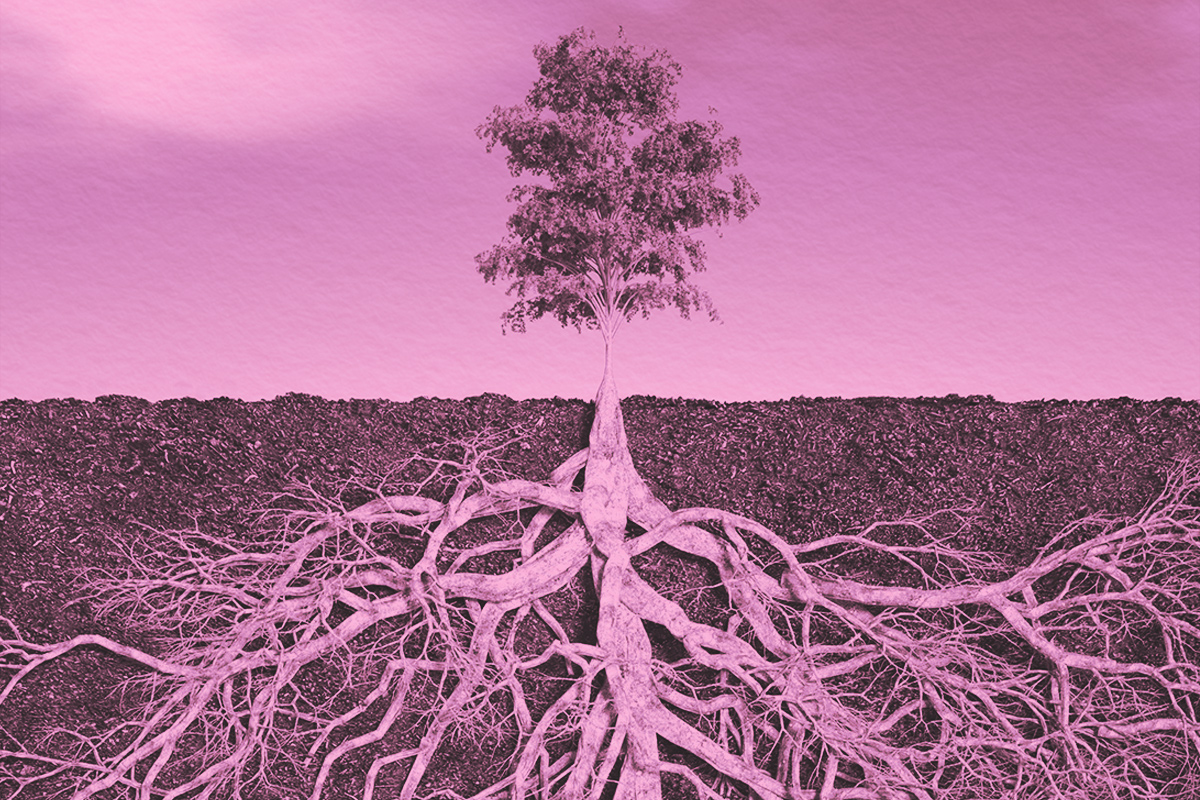 Tree above the ground, its intricate network of roots sprawling beneath the surface