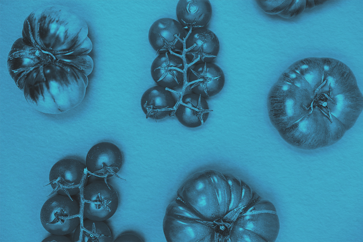 The Most Beautiful Words, According to Our Editors